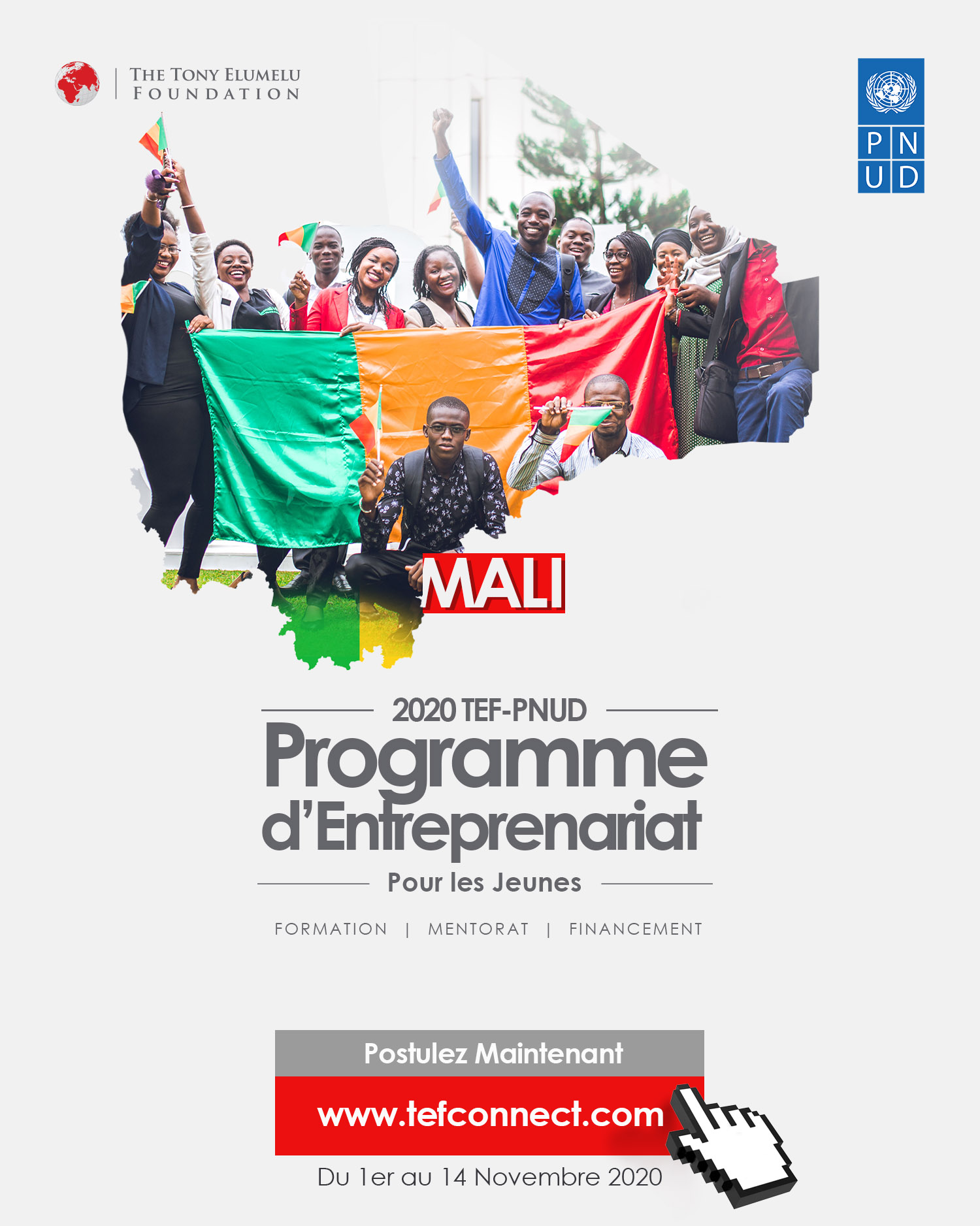 PROGRAMME D’ENTREPRENEURIAT POUR LES JEUNES: "TEF- PNUD Mali 2020 ...